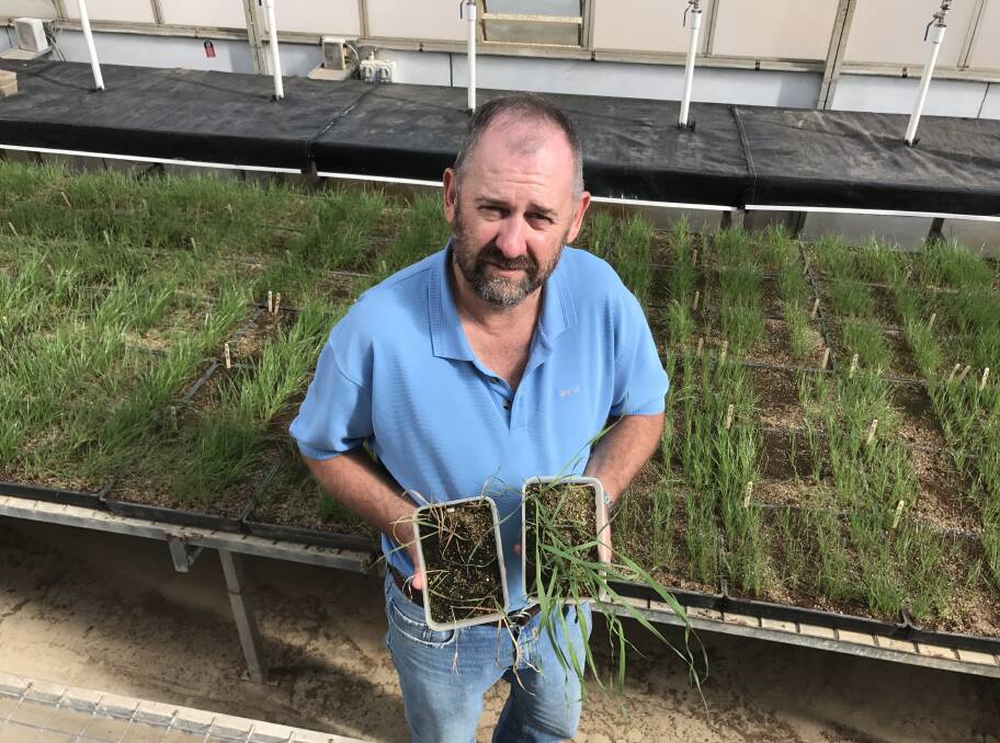 NEW RESEARCH: Dr Broster from the School of Agricultural and Wine Sciences at Charles Sturt University (CSU) in Wagga will present a paper at the Global Herbicide Resistance Challenge in Denver in the United States.
 