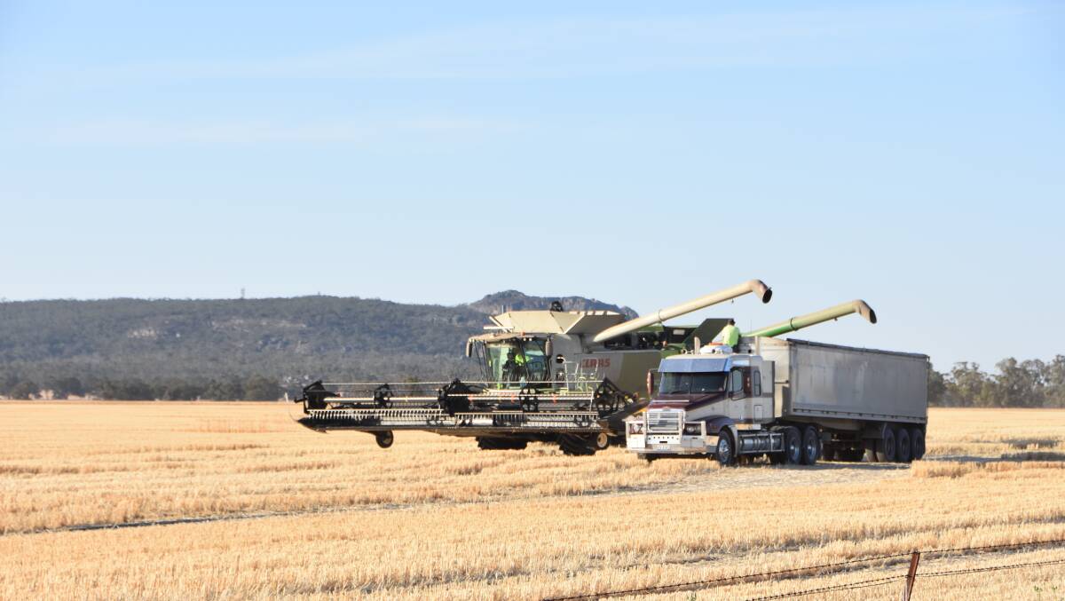 Farmers have been slightly surprised by good yields in many parts of south-eastern Australia, but wheat protein levels are down. Photo by Gregor Heard.