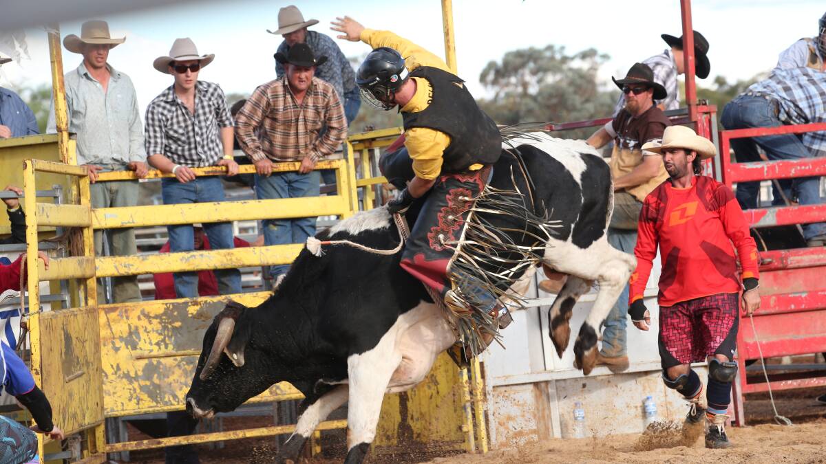 Weethalle Rodeo a hit | Photos