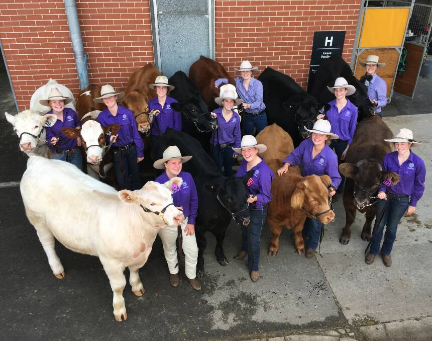FRENSHAM'S 2017 show cattle team was complemented by girls also involved in highly successfully in grain and fleece junior judging.