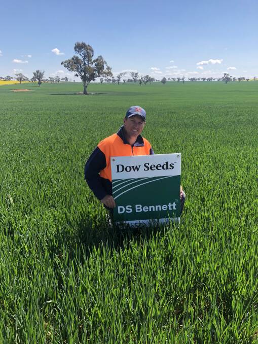 ROBERT Hart in one of the trials of DS Bennett in the region, being conducted at Griffith and as dryland grazed and ungrazed seed crops at Junee.
