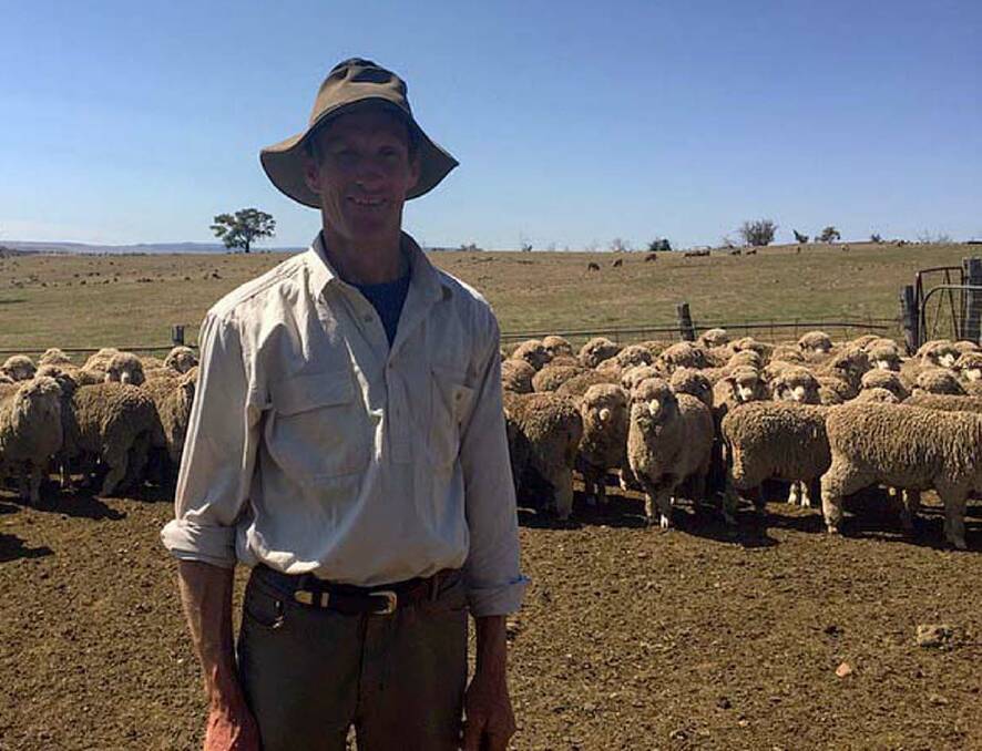 GREENDALE Merinos' Alan McGufficke believes his stock will provide an "opportunity to increase the profits of any merino breeding business".