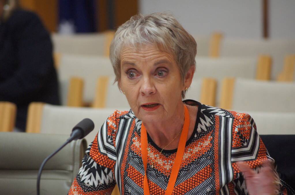 RESEARCH FOCUS: Rural Industries Research and Development Corporation chairwoman Kay Hull at Senate estimates last week.