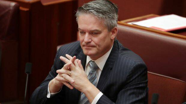 Acting Special Minister of State Mathias Cormann Photo: Andrew Meares
