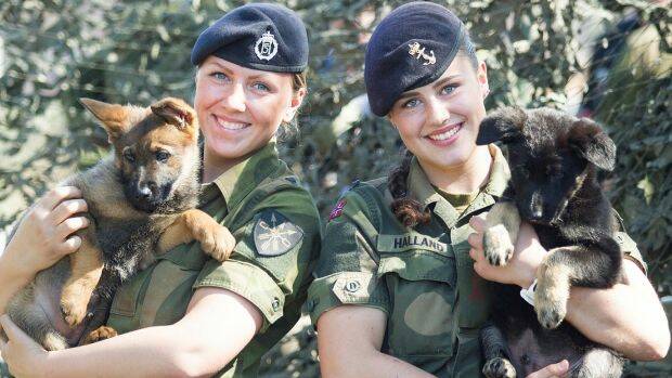 Two members of the Norwegian Armed Forces with puppies. Photo: Marte Brohaug/Norwegian Armed Forces