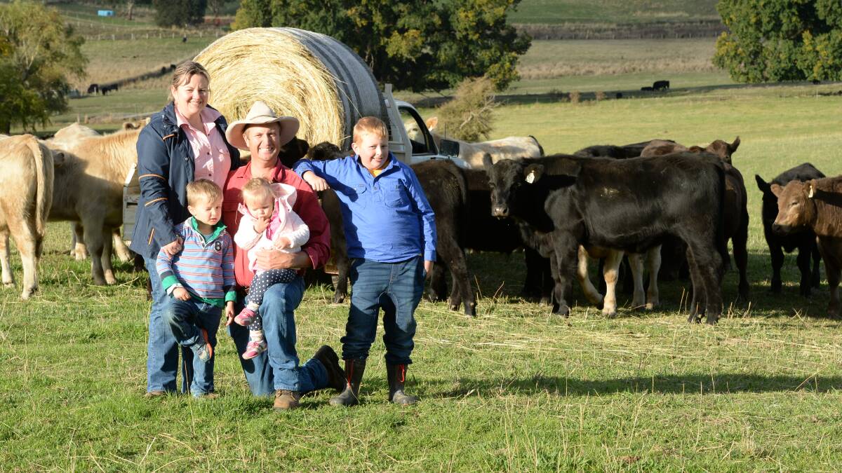 Toby and Amanda O'Brien, "Willow Glen", Gilmore via Tumut with their children Lachlan, 4, Jack, 8 and Elise, 22 months, pictured with 8-9 month old, Angus / Charolais cross weaners. 