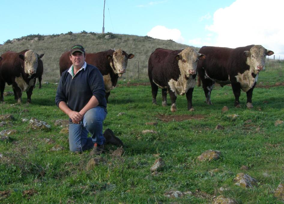 Robert Hain, Gunyah Herefords, Cooma. Gunyah has supported the event since it's inception and see's it as a major opportunity to showcase what they have to offer. 