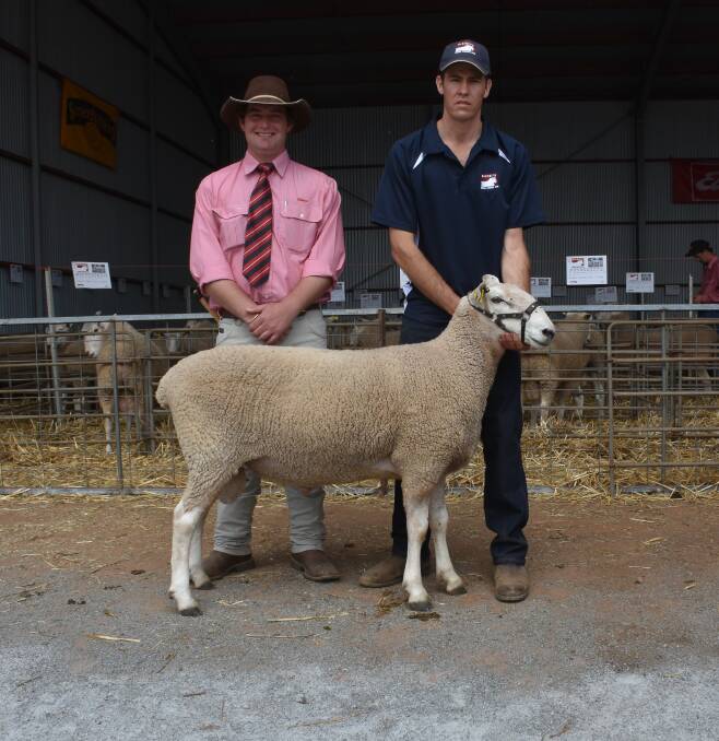 Elders auctioneer Will Stoddart, Wagga Wagga; looks over $7400 top price ram with Gleneith's Nathan Kember.