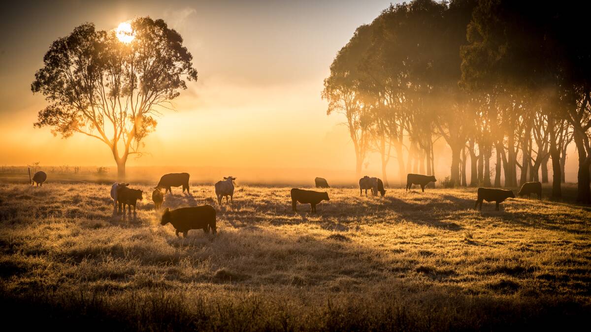 J-BAS: Changes have been made to further safeguard Australia’s enviable status as a world leader in red meat safety, integrity and traceability. From 1 October on-farm biosecurity and animal welfare are added.