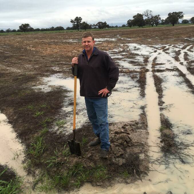 Preparation: Rice farmer Andrew Crossley is looking to contribute to the 900,000 tonne goal set by SunRice.