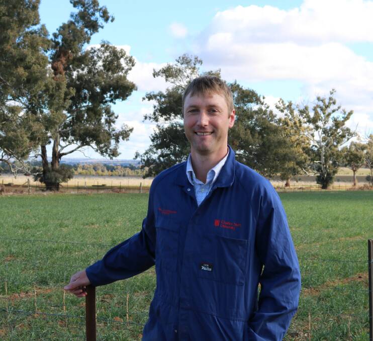 LESS LAMBS LOST: CSU lecturer and Graham Centre researcher Dr Shawn McGrath says the results should be in by Christmas. Picture: supplied
