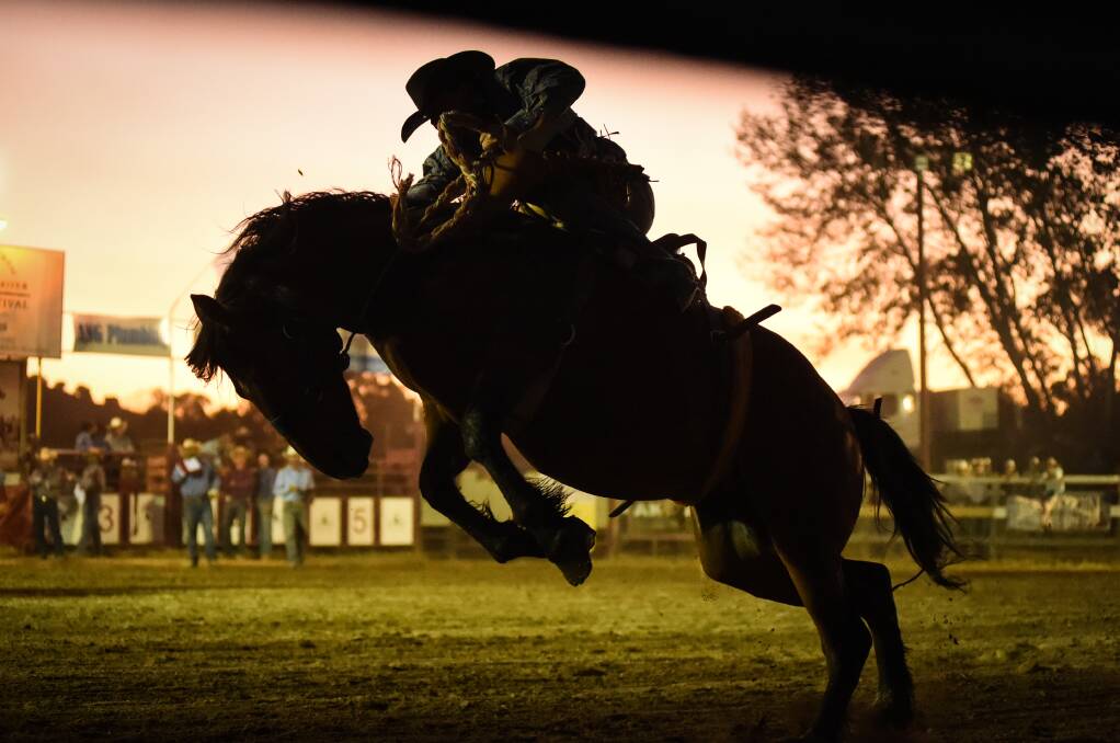 Rodeo competitor Aiden Jeffery holds in in the saddlebronc at the 2016 Man From Snowy River Bush Festival. Picture: MARK JESSER