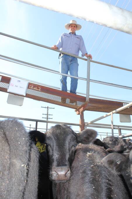 Angus McHattan from Temora will compete in the young auctioneers competition at the Sydney Royal Easter Show.