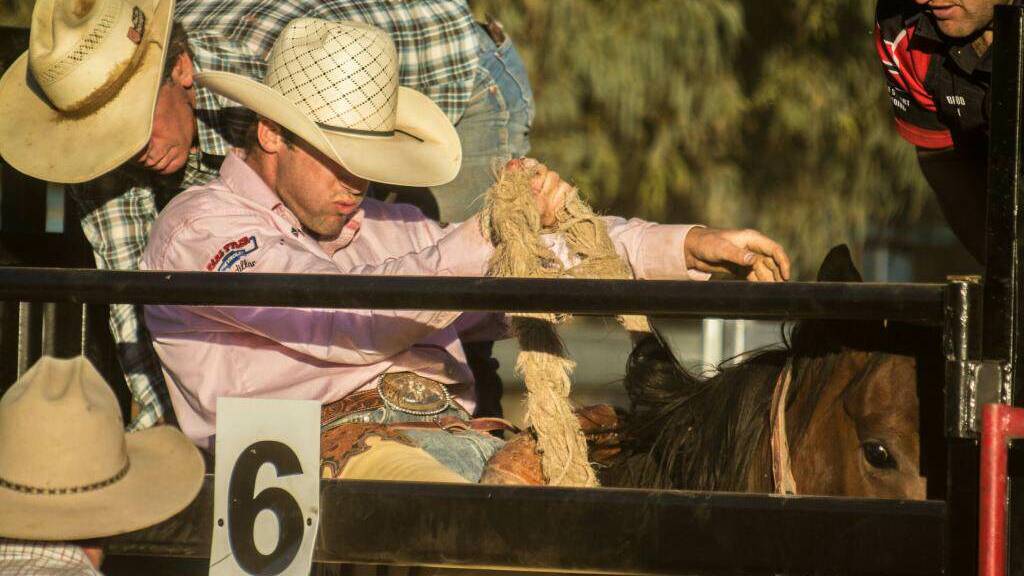 A bareback rider prepares to compete in the Rosewood Rodeo.