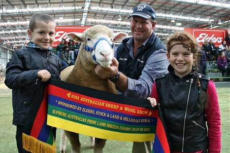 Andrew Scott, Coolac, NSW, with the family's interbreed prime lamb exhibit - a Poll Dorset ewe - and son Zac, 5, and daughter Sally, 9. Picture: Stock and Land