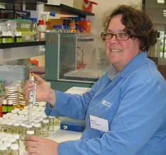 CSU PhD student Lynne Appleby is investigating the use of essential oils to combat mastitis in the dairy industry.