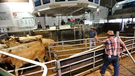 There was no cattle sale at the Wagga Livestock Marketing Centre this week due to the Easter holiday.