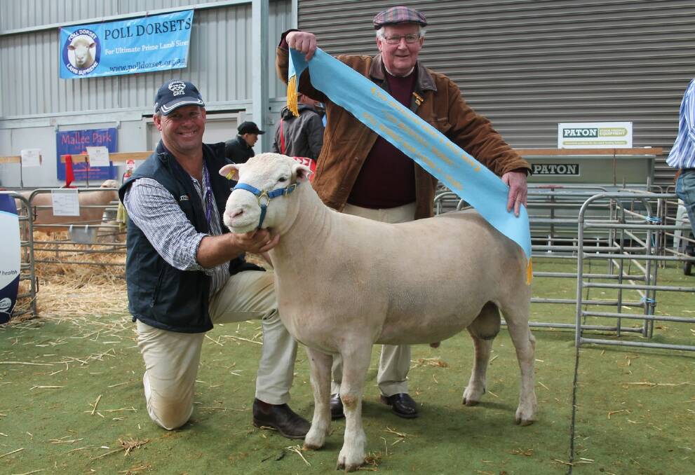 Stud principal Andrew Scott from Valley Vista with the family's prize-winning ram.