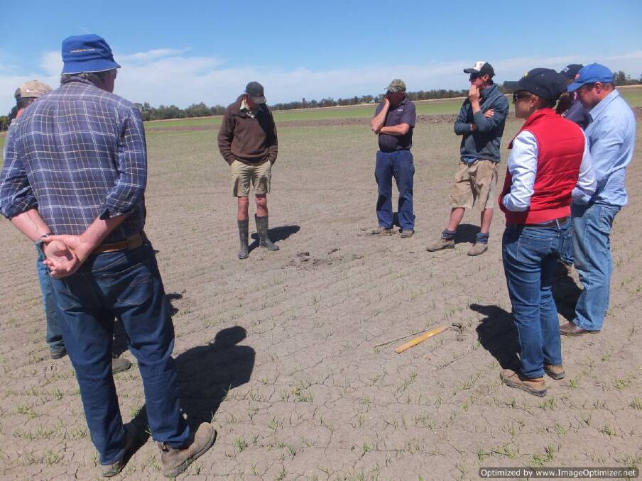 Rice industry members discuss the 2014/2015 crop.
