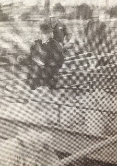JUNE 1993: Karen Hudson, Dalgety's Wagga pictured at the Wagga sheep sale.