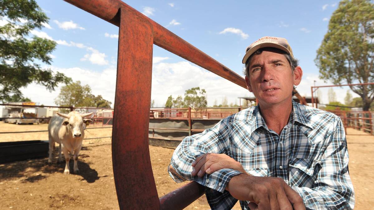 Jarrad Gill from John Gill and Sons at The Rock is pictured preparing for the Wagga Pro Rodeo.