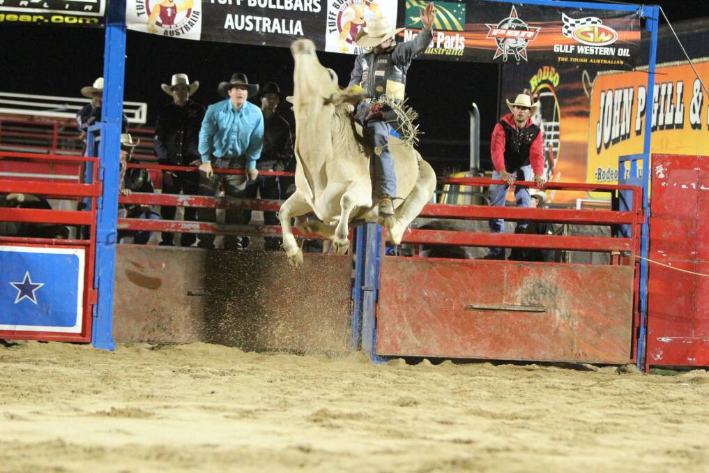 Akubra Kid owned by John Gill and Sons from The Rock shows his talent at the PBR in Wagga. Picture: Nikki Reynolds