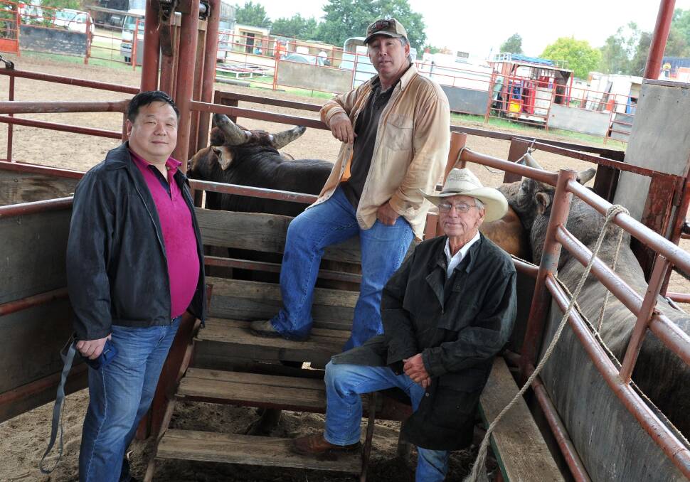 Bull buyers from China at John Gill's property at The Rock James Wang (PBR China) with Jason Gill and John Gill. Pictures: Michael Frogley