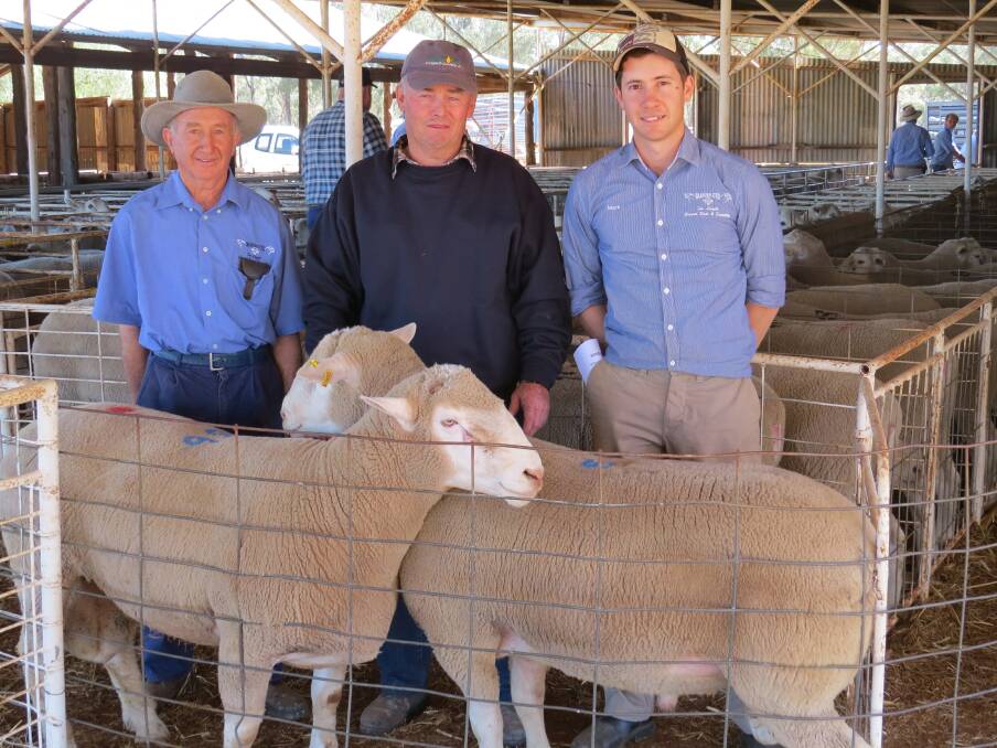 Amando Dissegna and son Mark Dissegna from Warburn Stud at Griffith sell the top-priced pen of rams for $2100 each to Joe Kelleher (centre) from West Wyalong.