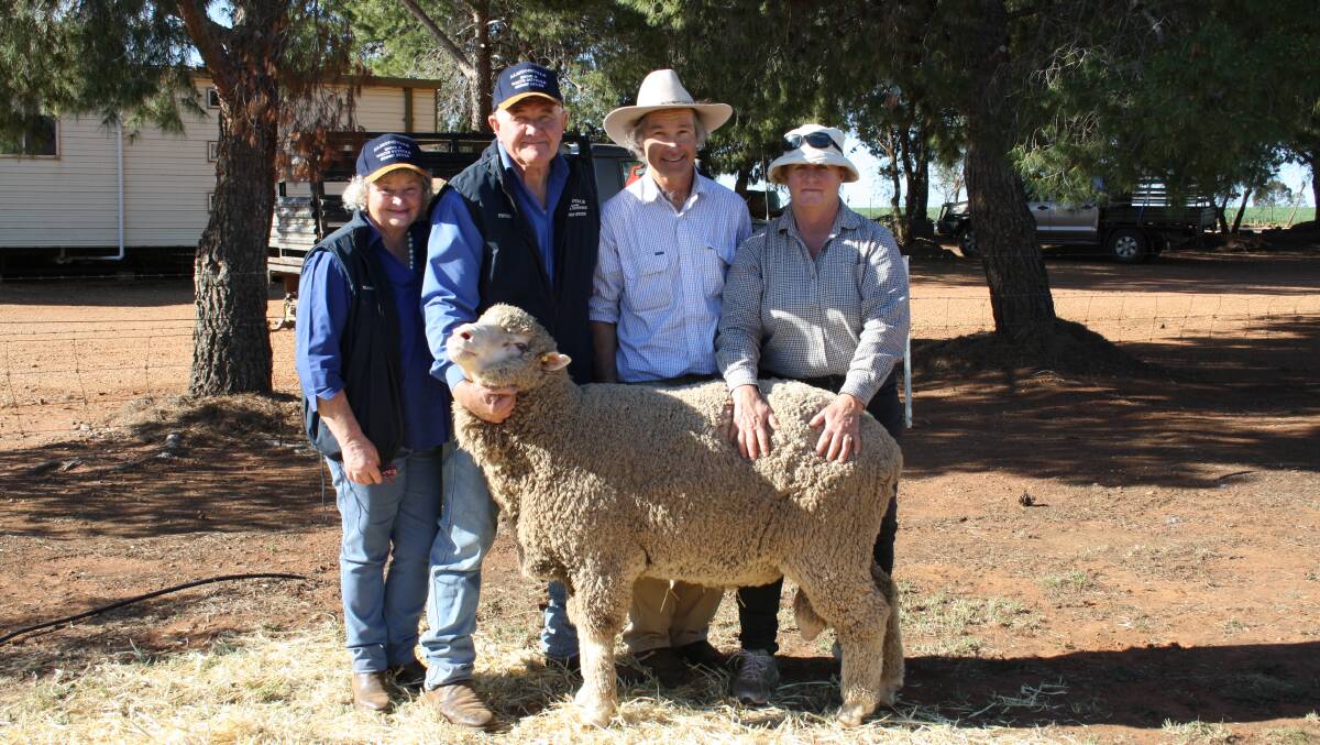Social pictures from the Routley family's annual on-property stud sale at Urana in Southern NSW.