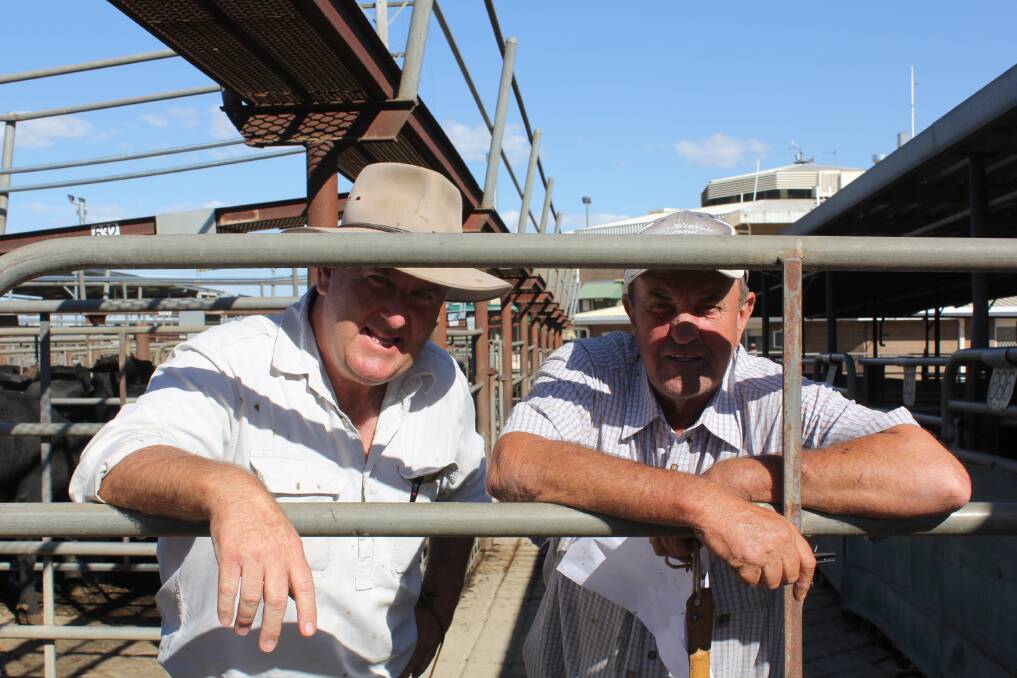 John Serong and George Wilson from RH Blake and Co at the Wagga cattle sale. Pictures: Shantelle Stephens