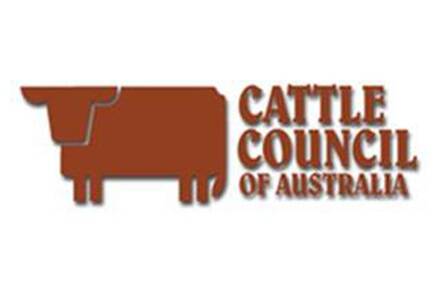 Cattle Council welcomes independent board members