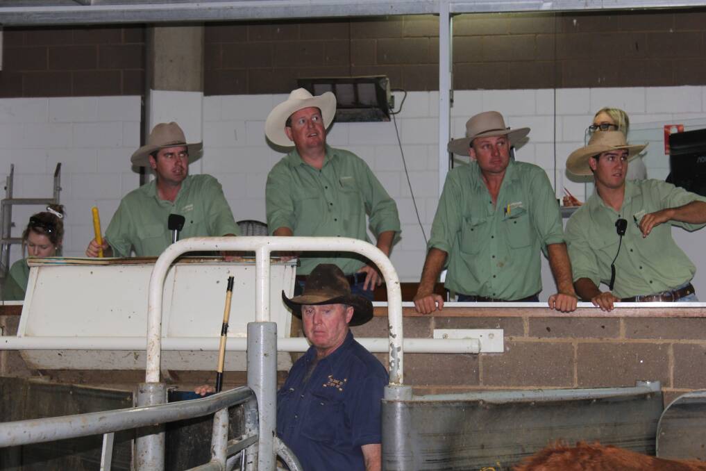 Livestock agents from Landmark Wagga at the Wagga cattle sale. Pictures: Shantelle Stephens