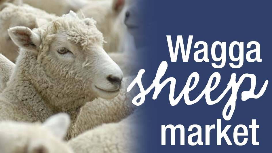 Heavy lambs in short supply at Wagga