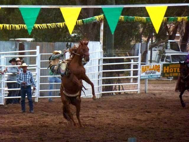 A competitor in the bronc ride at Narrandera Rodeo.