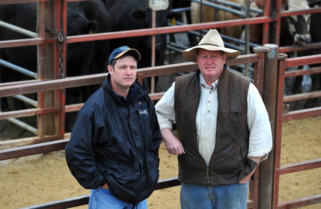Wagga Livestock Marketing Centre general manager, Paul Martin and Wagga City Council Deputy Mayor, Andrew Negline pictured at the Wagga cattle sale. Picture: Addison Hamilton