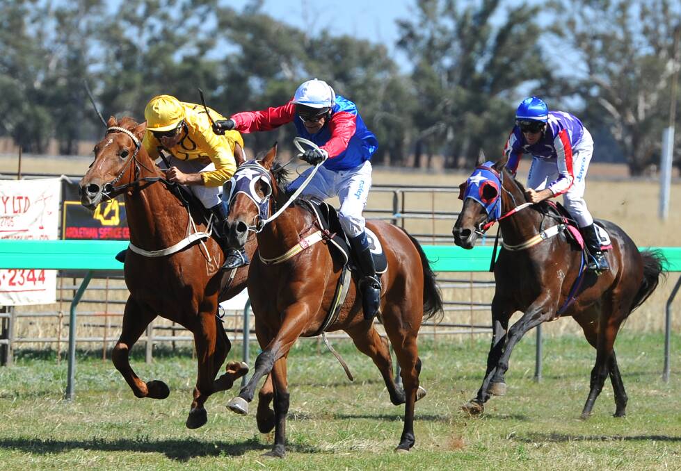 Racing action at the 2013 Ardlethan Picnic Races.