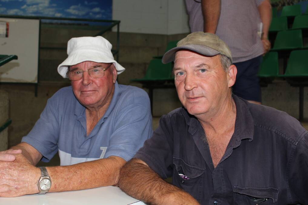 Pat Nugent from Tarcutta and Mick Heinjus from Junee at the Wagga cattle sale. Pictures: Shantelle Stephens