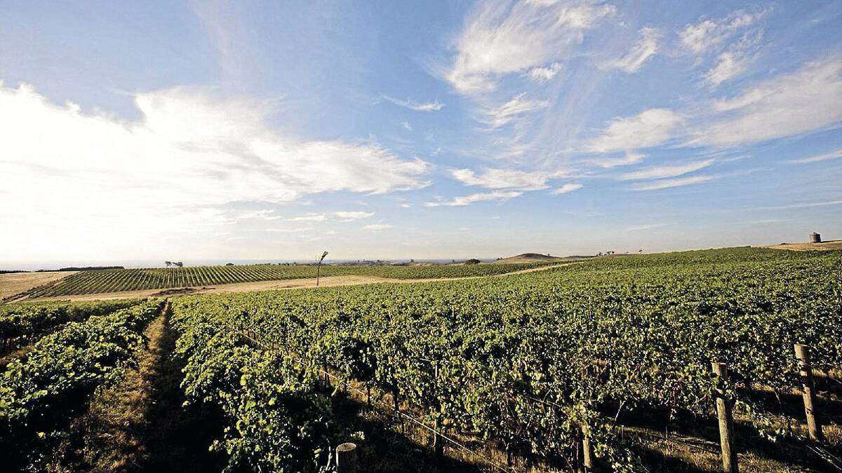 A massive winegrape crop in the Riverina has prompted industry leaders to call for greater promotion of the region to help growers achieve sustainable costs of production.