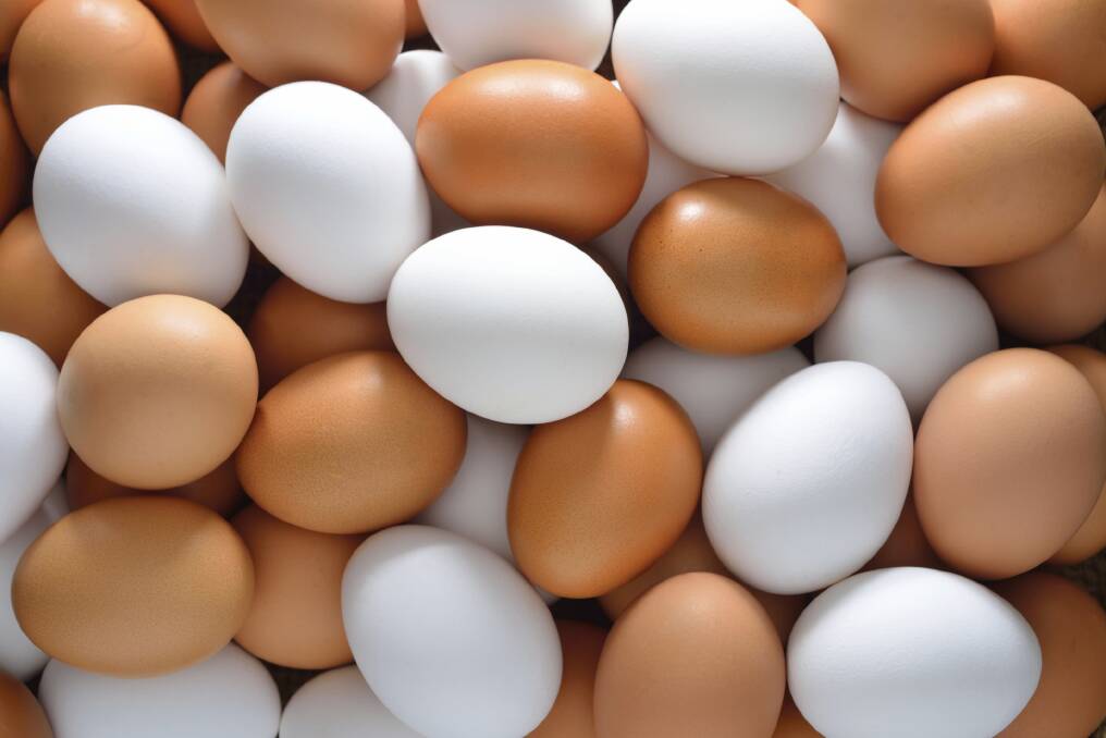 Eggs must be stamped with identification
