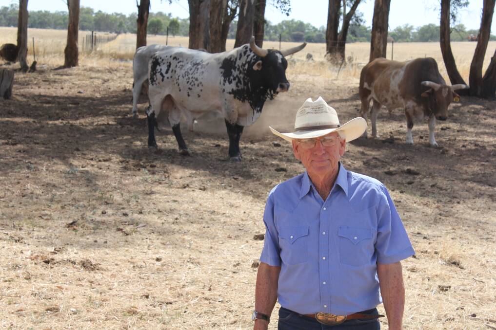 John Gill, principal of John p Gill and Sons, The Rock with the bucking bull War Chief (left) in the background.