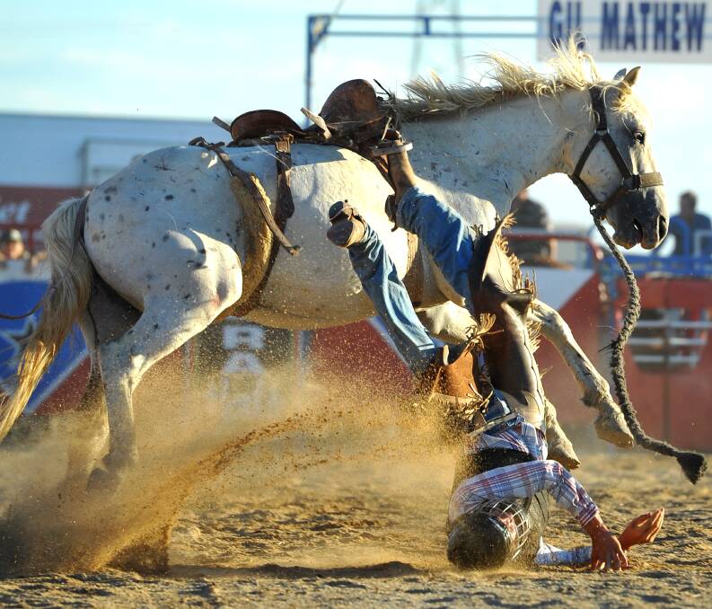 Simon Grimson takes a tumble at the 2013 Wagga Rodeo. Pictures: Addison Hamilton