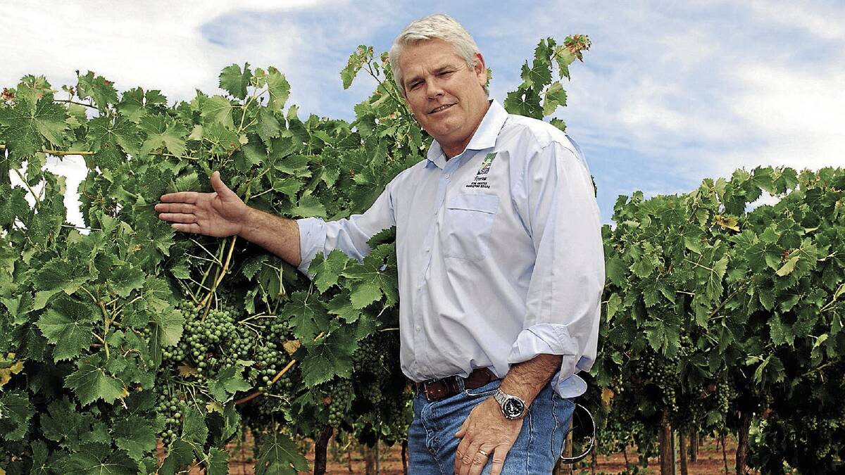 Winegrapes Marketing Board chief executive officer, Brian Simpson from Griffith inspects grapes.