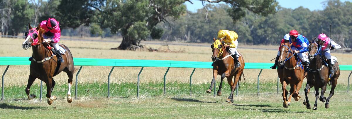 Racing action from the Ardlethan Picnics in 2013.