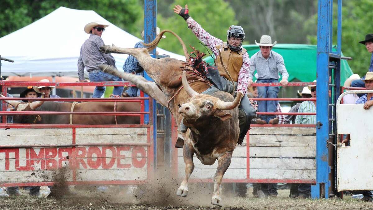 Chris Young competes in the second division bull ride at the Tumbarumba Rodeo on New Year's Day. Picture: Alastair Brook