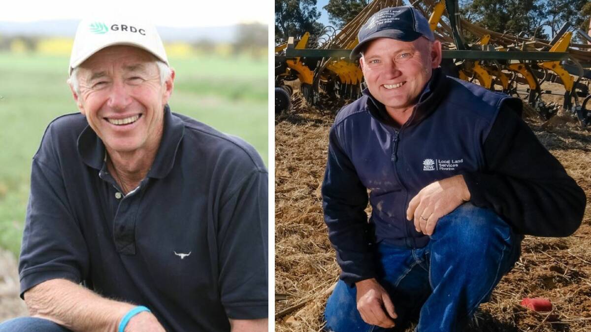 Rand farmer Roy Hamilton said recent rains have set his wheat harvest back a week and a half while Riverina agronomist Geoff Minchin said the wet could significantly impact financial returns as a result of crop downgrading. Pictures supplied