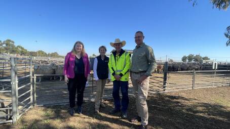 NSW minister for agriculture Tara Moriarty, Murray MP Helen Dalton, saleyards leader Les Warren and Griffith mayor Doug Curran at the saleyards on April 12. Picture by Allan Wilson