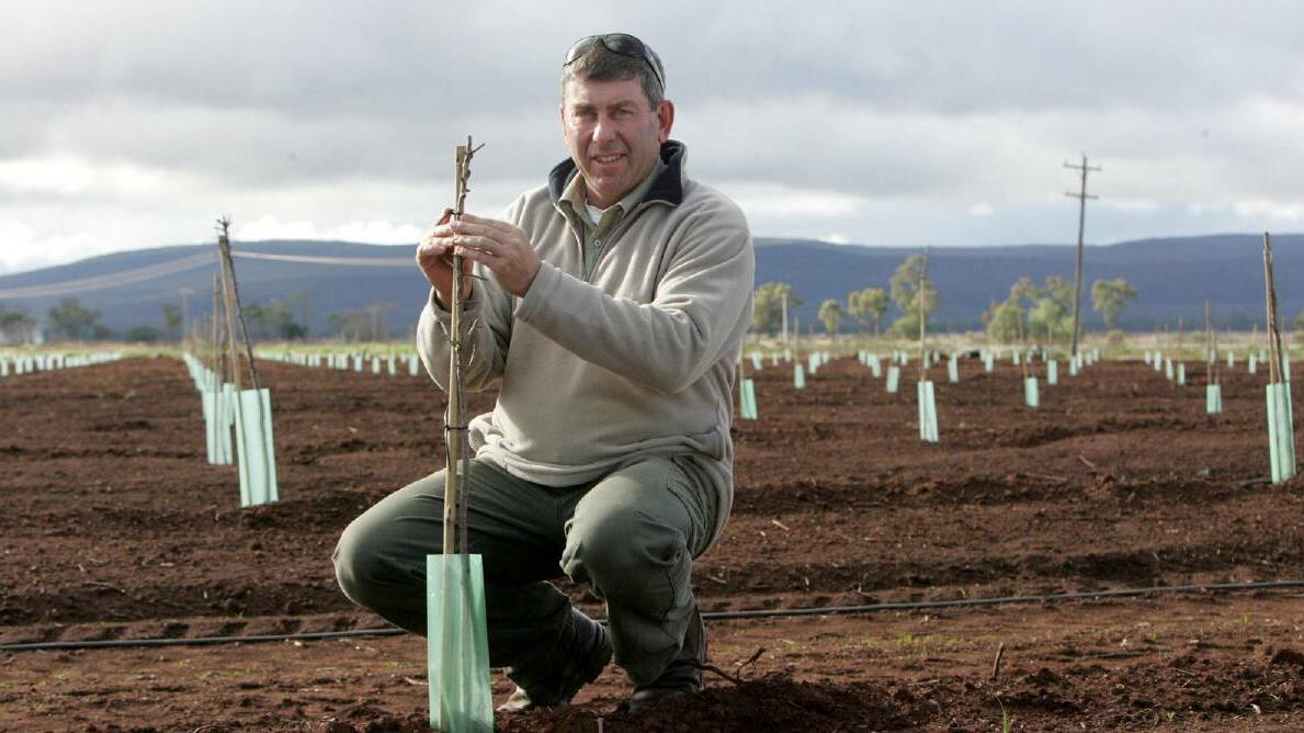 Yenda almond farmer Paul Rossetto has welcomed the call from the Almond Board of Australia. Picture file