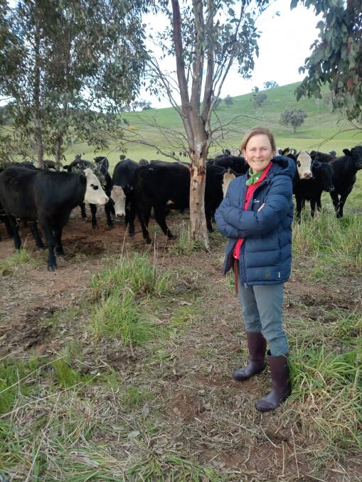 Rebecca Gorman has taken part in the natural capital accounting trial to better understand the natural assets of her farm. Picture supplied