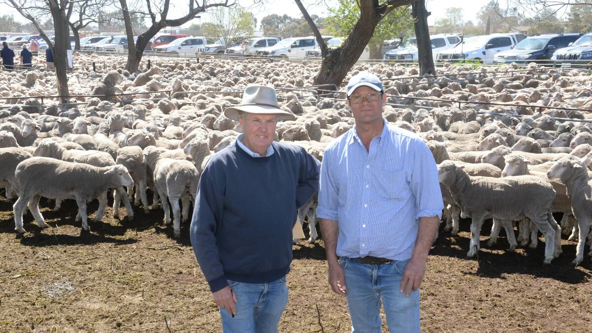Hay-based sheep classer Chris Bowman with vendor Nick McKindlay, Mooloomoon, Moulamein and the 434 Merino ewes he sold for $262. Photo: Rachael Webb

