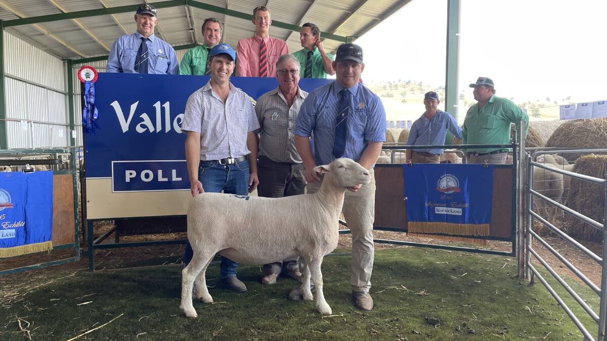 Front - Aaron and Lindsay Picker, Binda, with the top priced ewe paraded by Joe Scott. Back - Andrew Scott, Valley Vista. Coolac, auctioneers Tim Woodham, Harrison Cozens and Hamish McGeoch.
